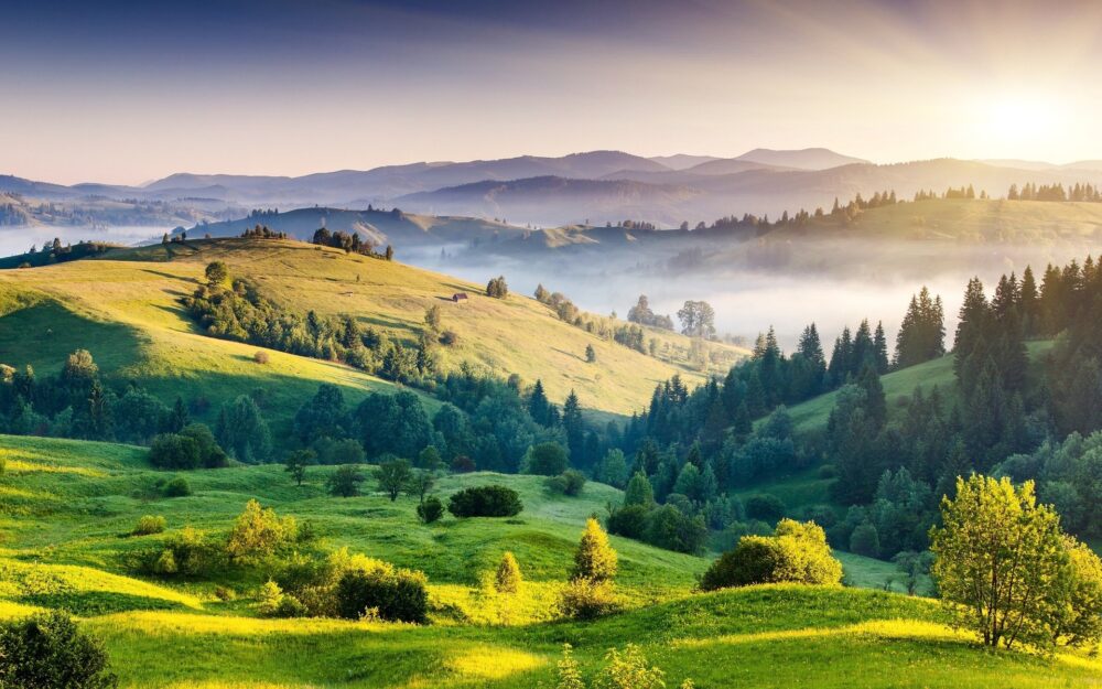 Nature Background 4k Photo