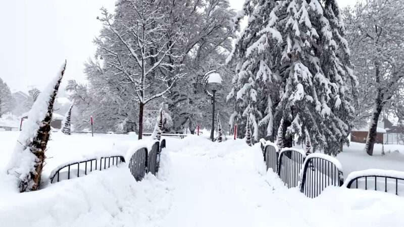 A snow-covered street lined with a wooden fence and bare trees, creating a serene winter background.