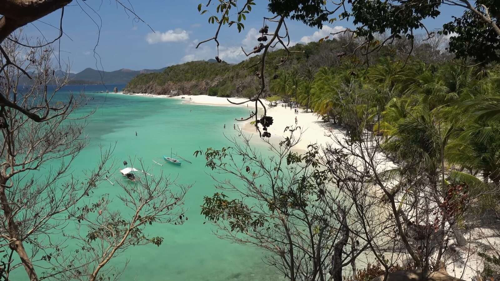 View of the beach from a tree, where blue water and golden sand meet together, Wonders of the World Pictures.
