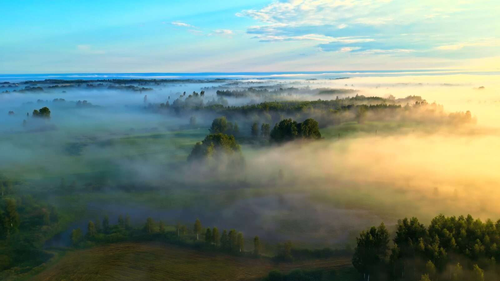 Aerial view of misty landscape with trees and water, showing natural beauty, Wonders of the World Pictures.
