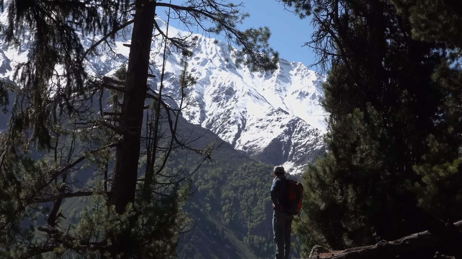 A man stands on a rock, watching the view of a snow-capped mountain, Wonders of the World Pictures.
