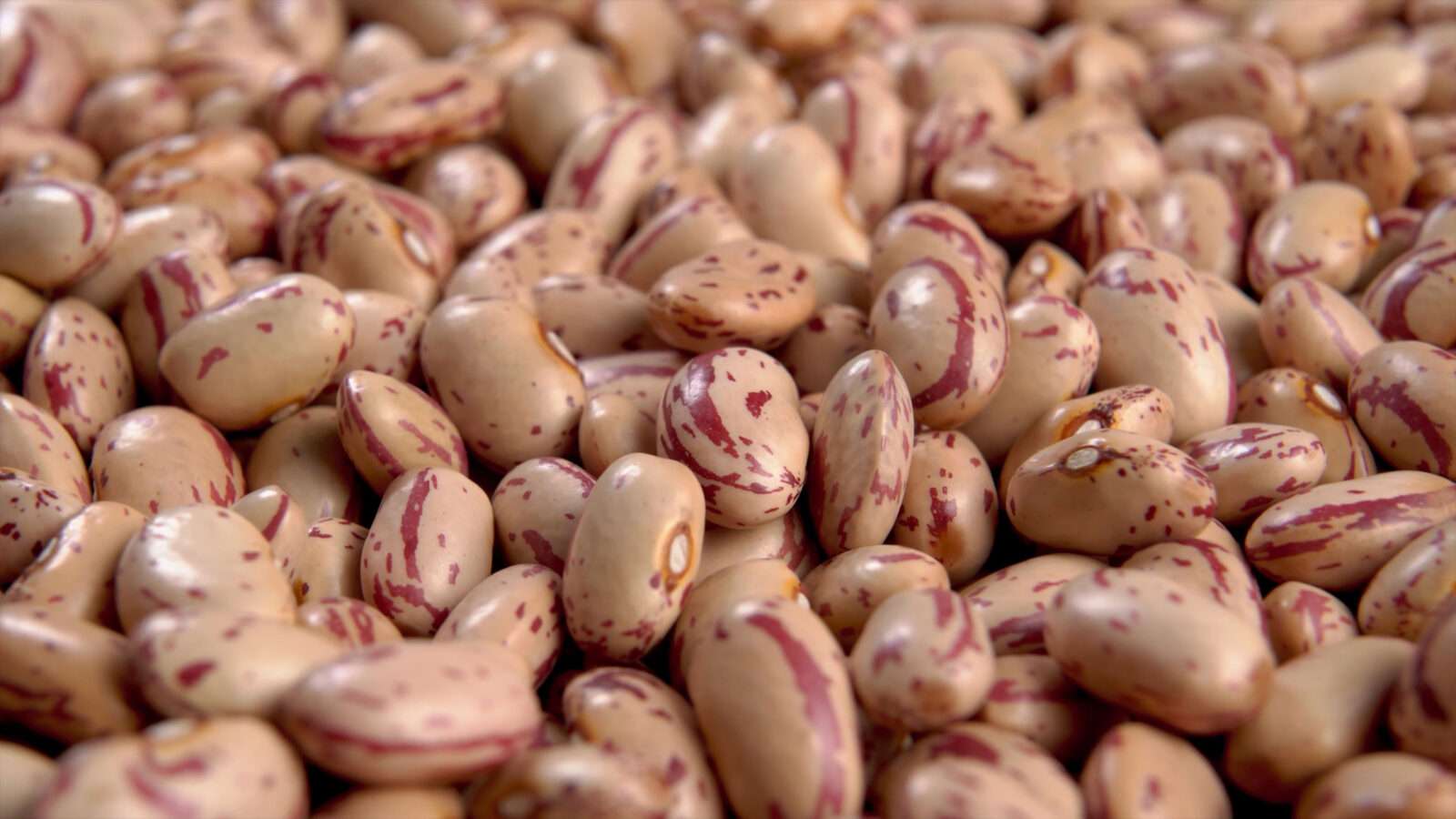 beans collection 4k picture 4k Pictures