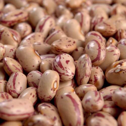 beans collection 4k picture