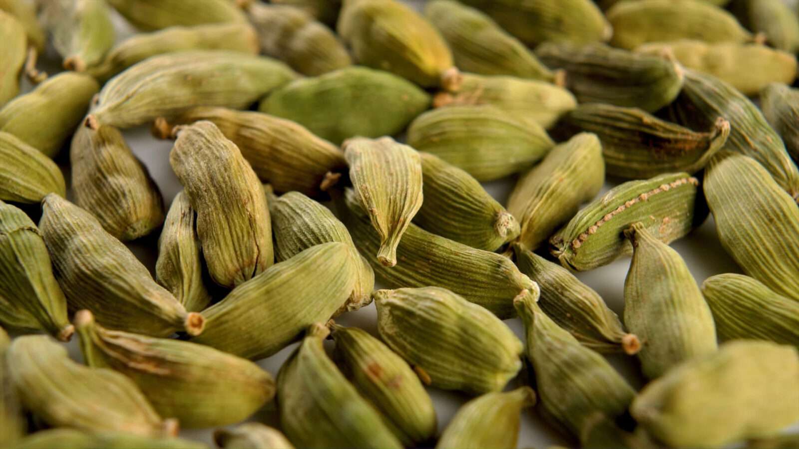 beautiful 4k picture of fragrant cardamom Nature Pictures Flowers