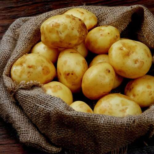 beautiful raw potato 4k picture