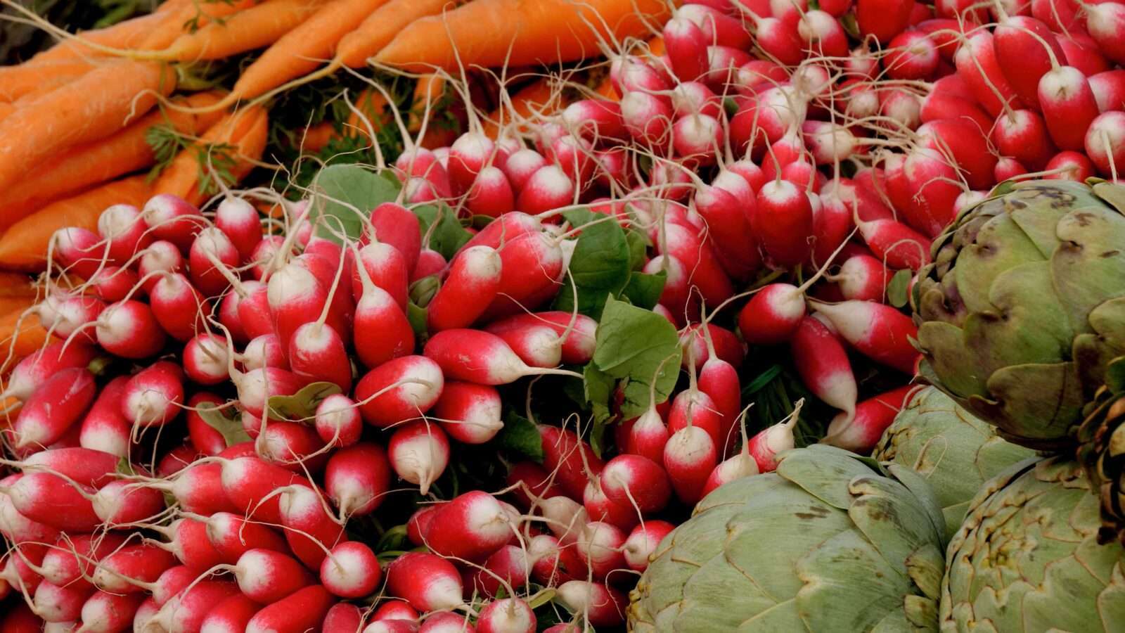 fresh radish 4k picture 4k Pictures