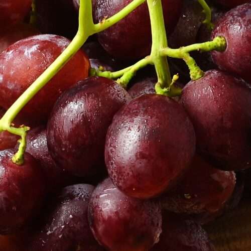 natural grapes 4k picture