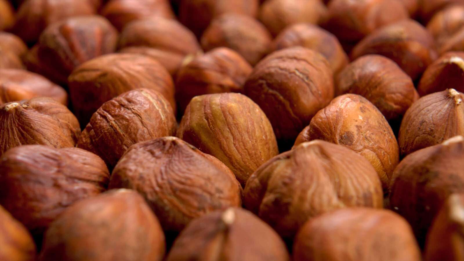 nuts 4k picture 4k Pictures