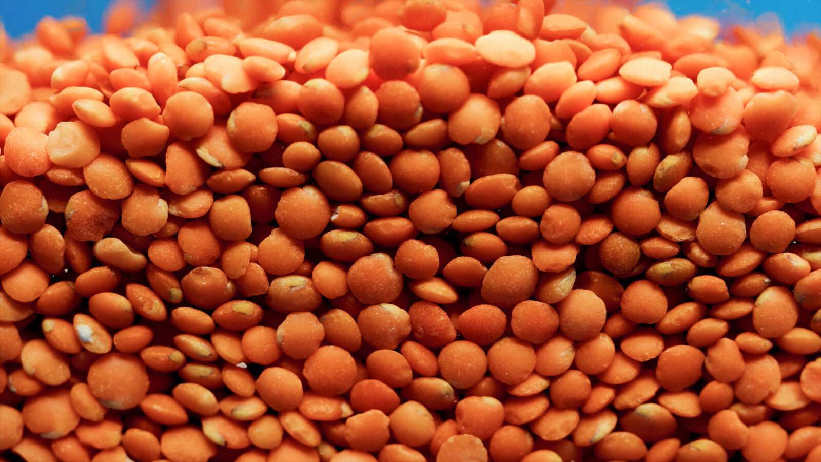 orange beans 4k picture 4k Pictures