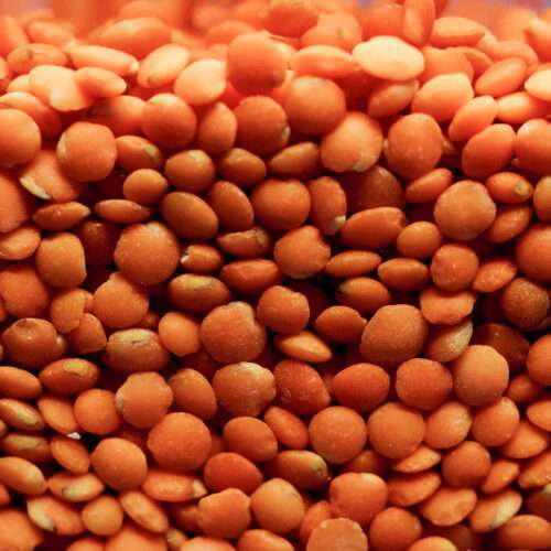 orange beans 4k picture