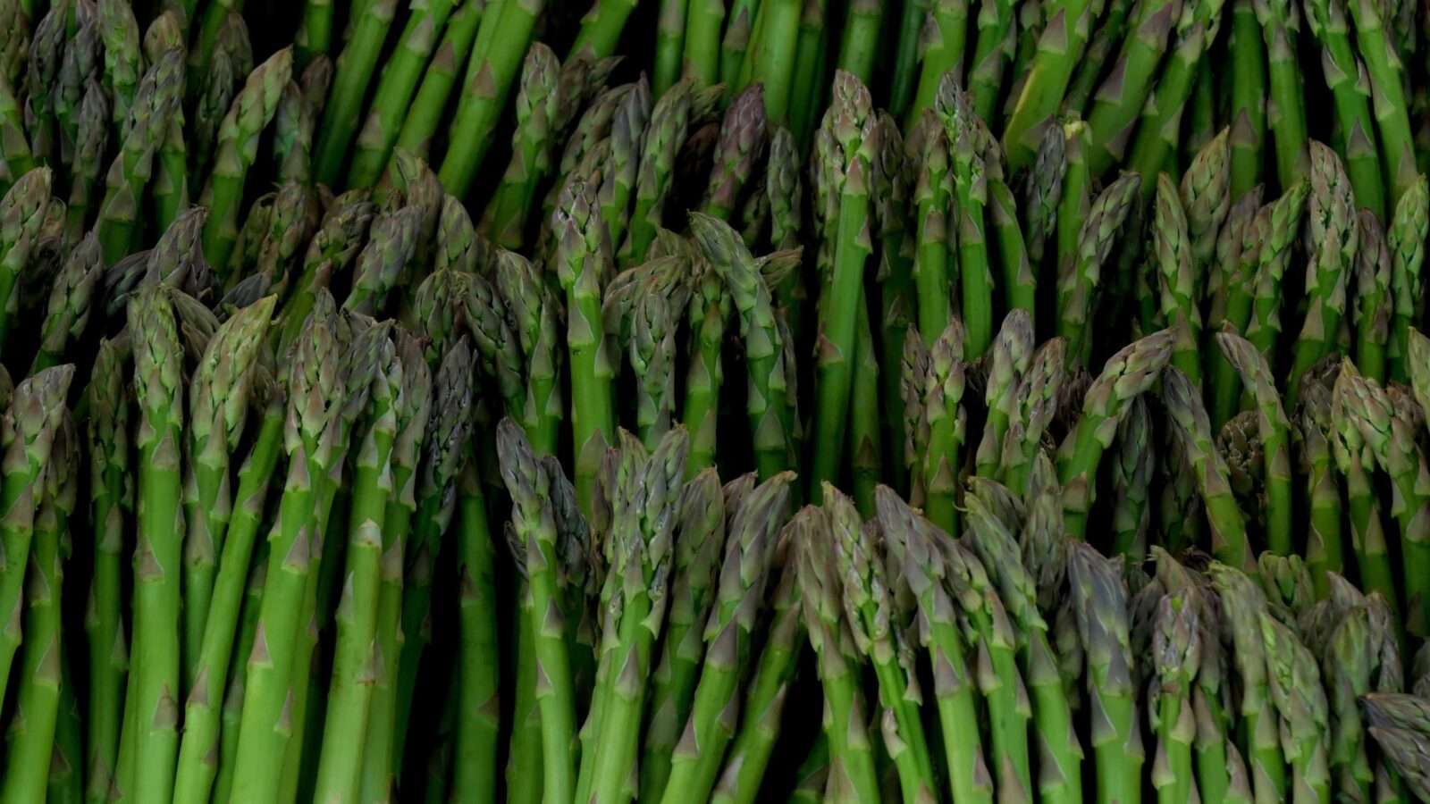 popular asparagus 4k picture 4k Pictures