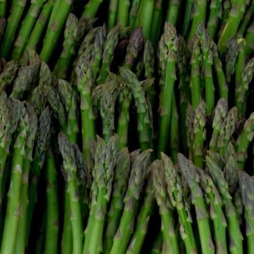 popular asparagus 4k picture