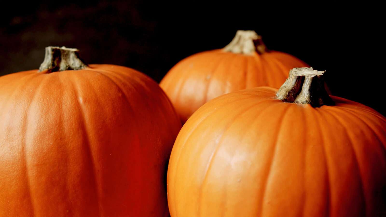 pumpkin 4k pictures 4k Pictures