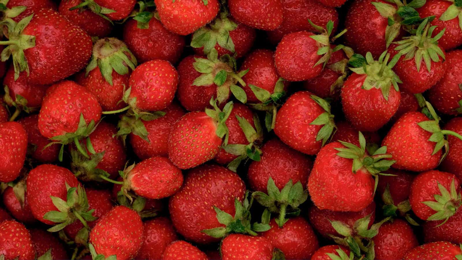 strawberry background 4k Pictures