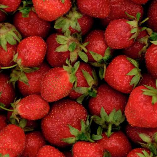 strawberry background