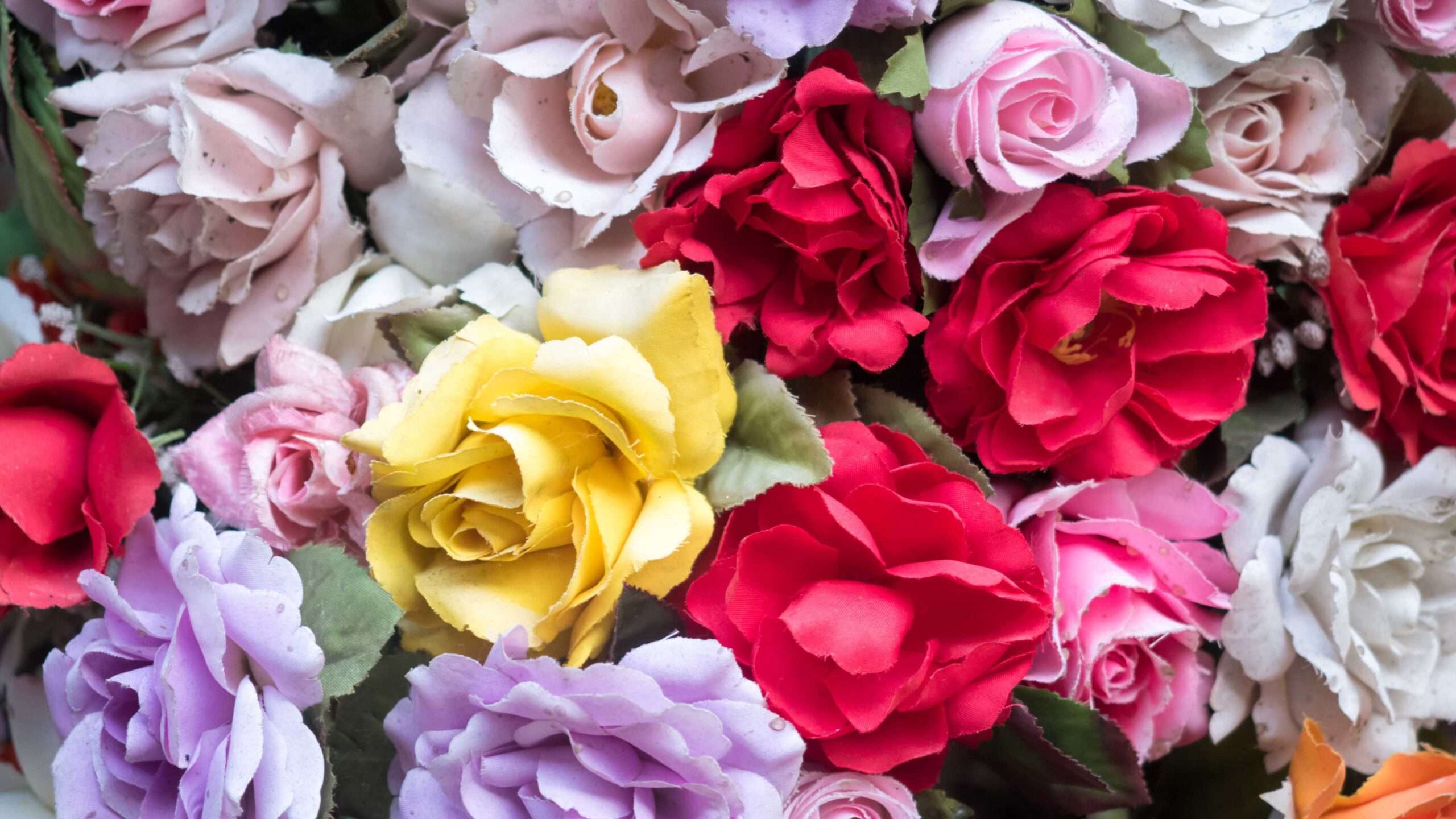 Group of colorful roses beautifully arranged in a vase. Nature Pictures Flowers