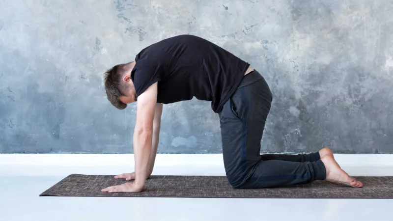 Young yogi men practices yoga asana bitilasana or cat cow pose