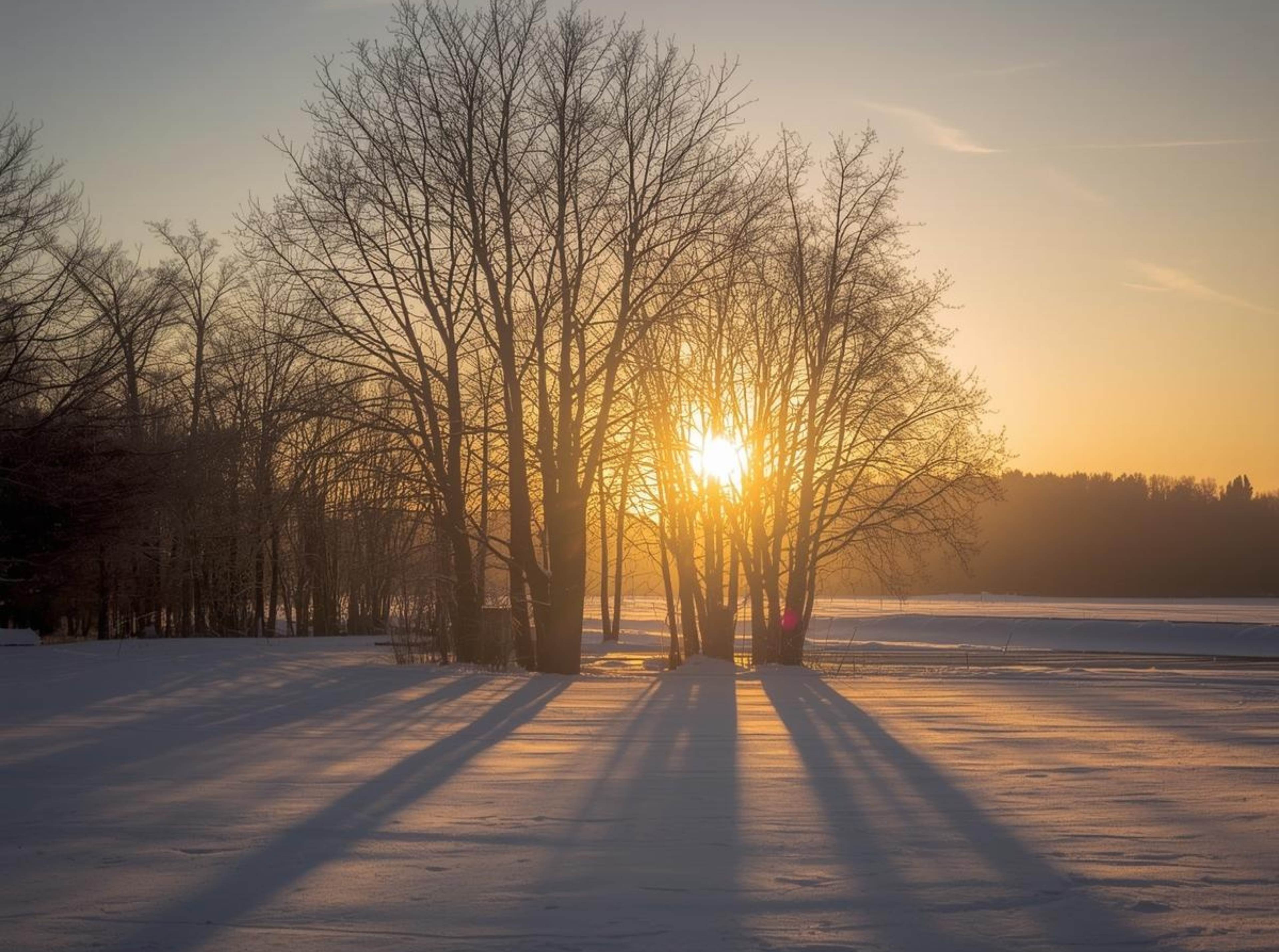 Cold winter sunset background with golden light and snow