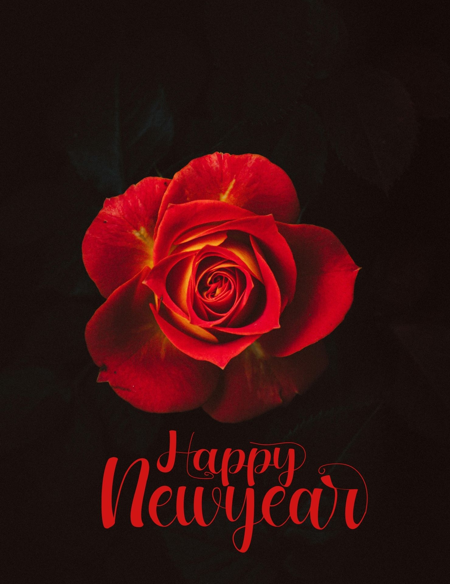 Happy New Year mobile wallpaper with rose and dark background