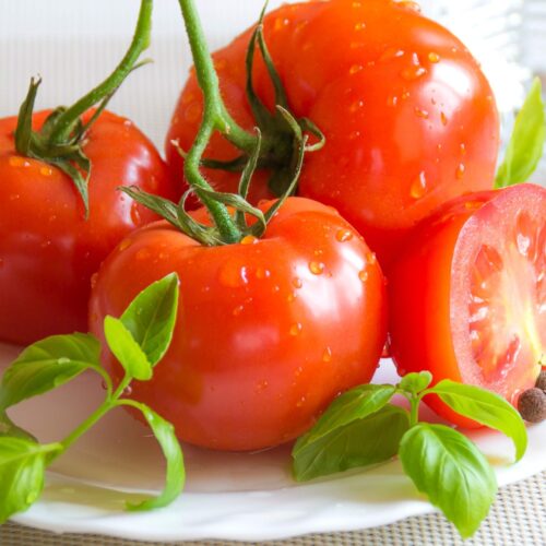 Ripe red tomato in 4K – Fruit & Vegetable 4K Pictures