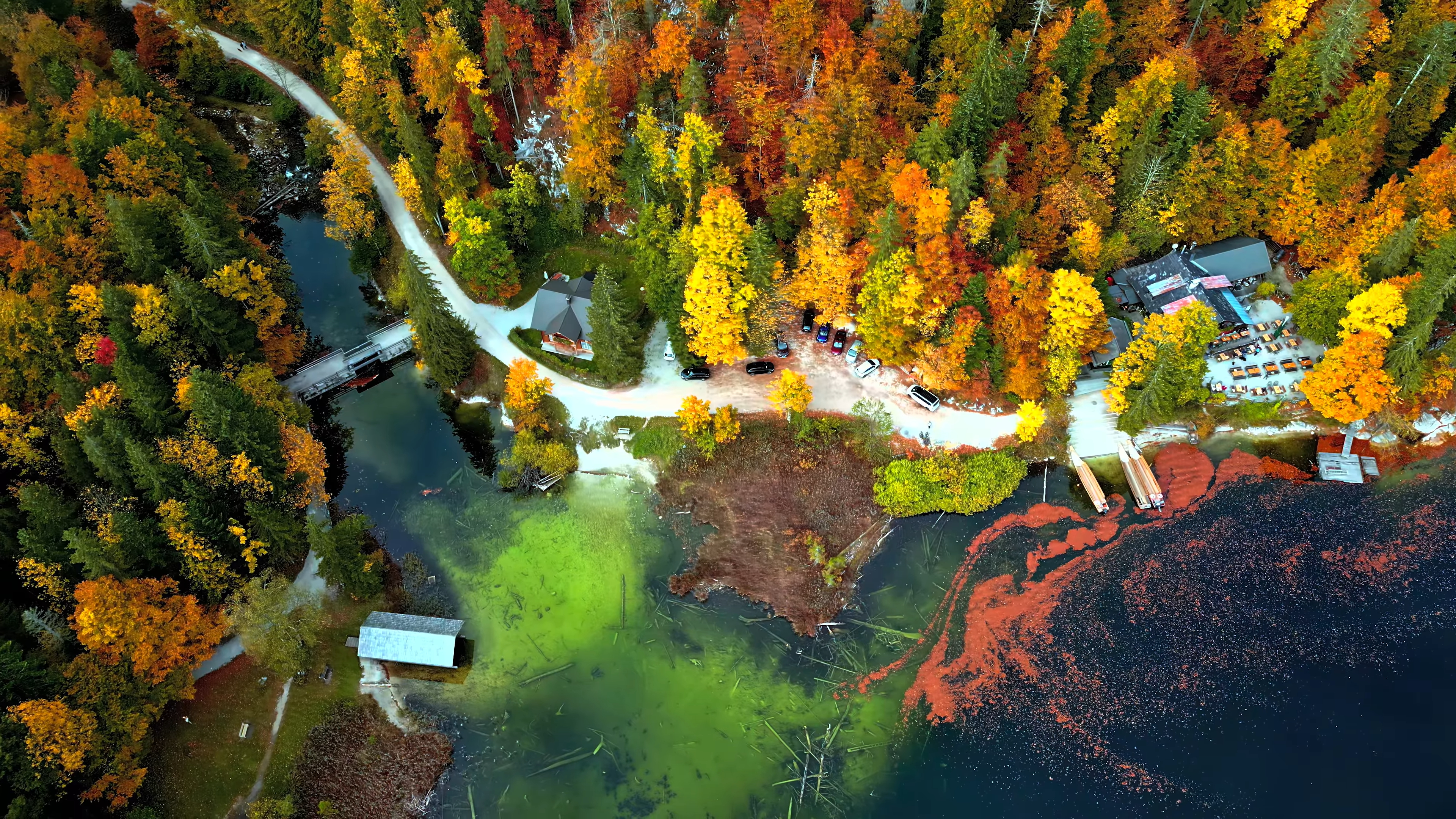 Color Wallpaper 4K autumn forest with waterfall and vibrant colors