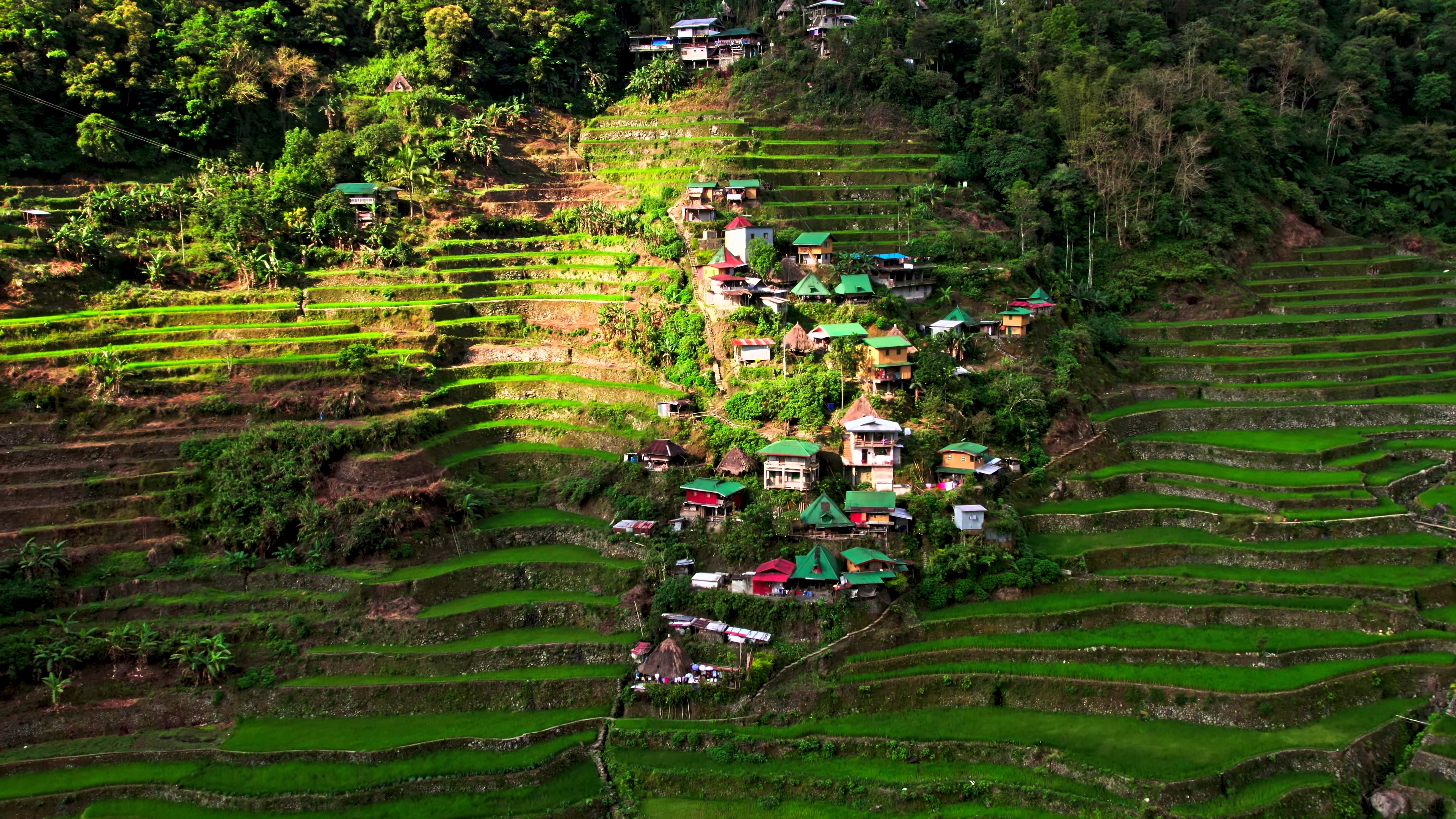 Color Wallpaper 4K aerial view of colorful village rice fields